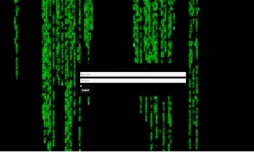 teambuilding-vertrouwen